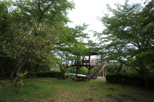 R0006778.jpg