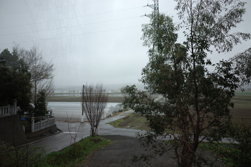 R0009489.jpg