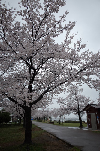 R0009509.jpg