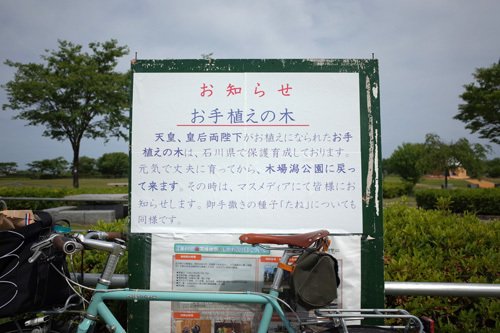 R0010239.jpg