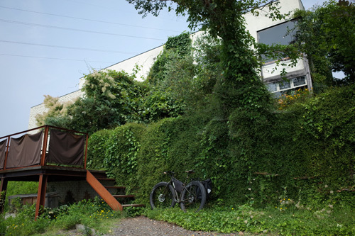 R0010274.jpg