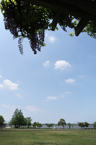 R0011833.jpg