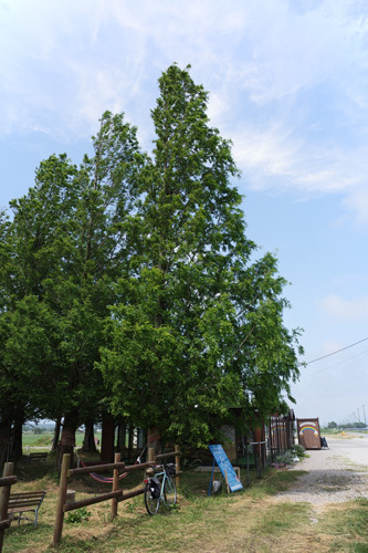 R0012282.jpg