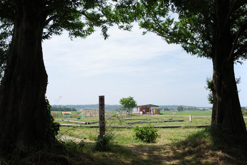 R0012305.jpg