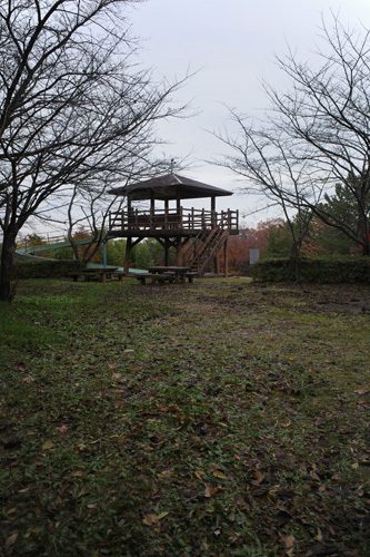 R0013799.jpg
