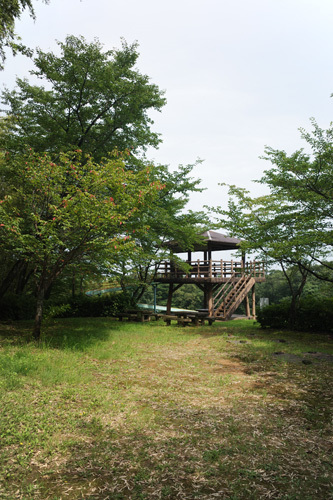 R0013948.jpg