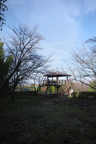R0014137.jpg