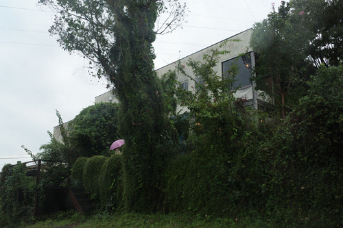 R0015295.jpg