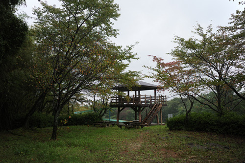 R0015300.jpg