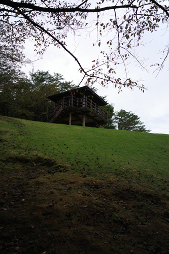 R0015391.jpg