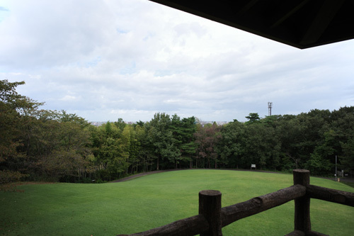 R0015424.jpg