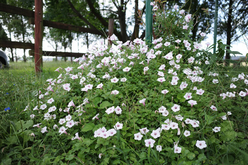 R0015450.jpg