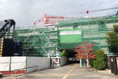 R0015480.jpg