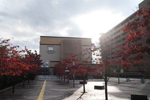 R0015483.jpg