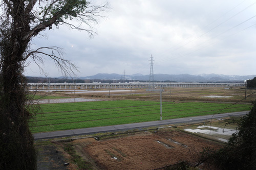 R0015564.jpg