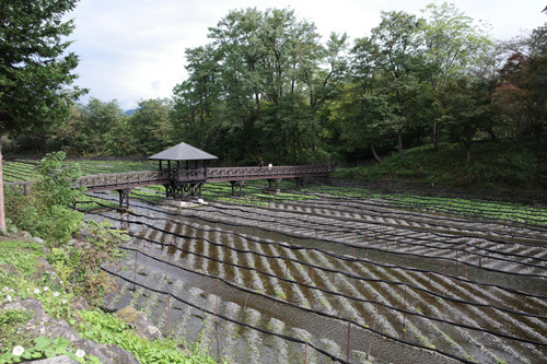 R0015827.jpg