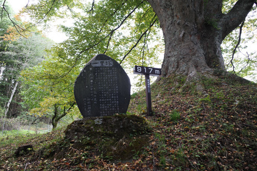 R0016166.jpg