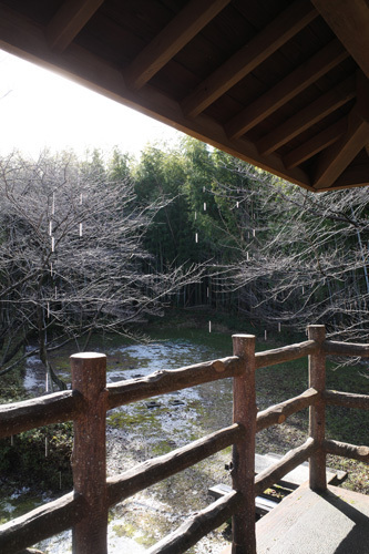R0016406.jpg