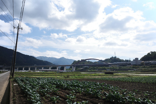 R0016493.jpg
