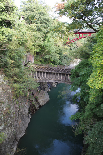 R0016537.jpg