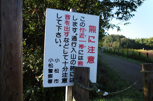 R0017168.jpg