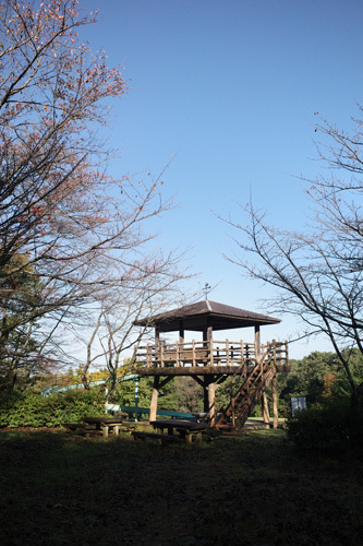 R0017173.jpg