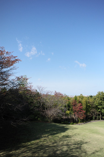 R0017206.jpg