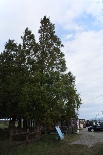 R0017236.jpg