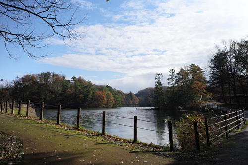 R0017867.jpg