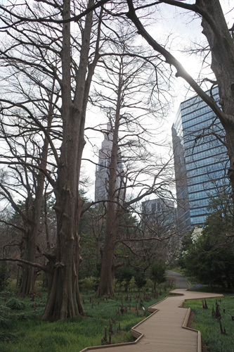 R0018010.jpg