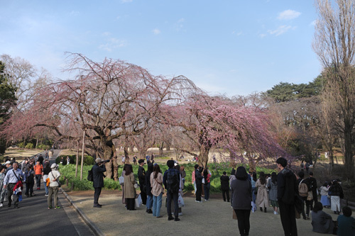 R0018029.jpg
