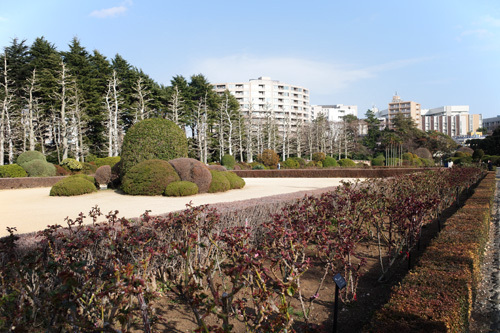 R0018035.jpg