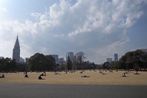 R0018039.jpg