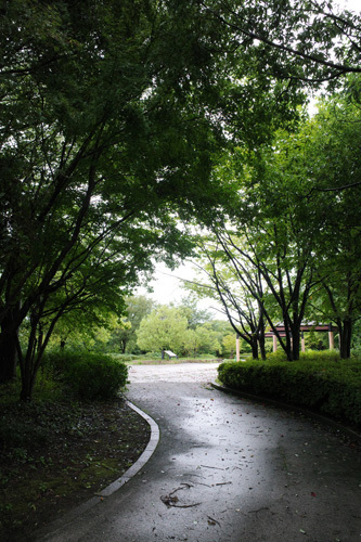 R0025600.jpg