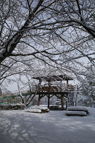 R0032363.jpg