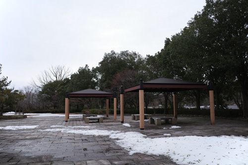 R0032801.jpg