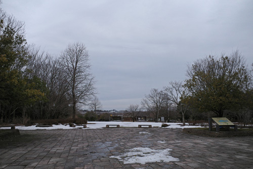 R0032885.jpg