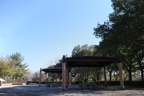 R0033070.jpg