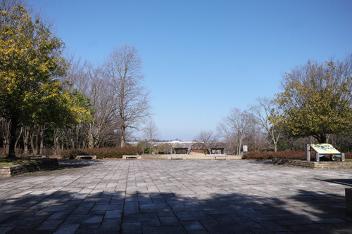 R0033144.jpg