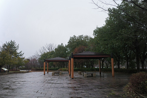 R0033226.jpg
