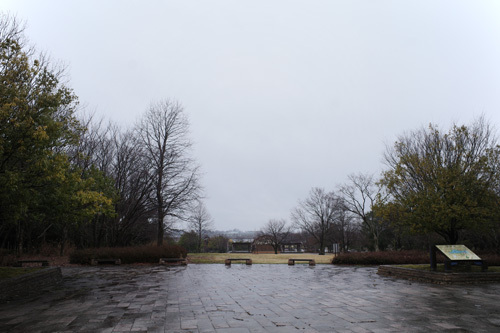 R0033293.jpg