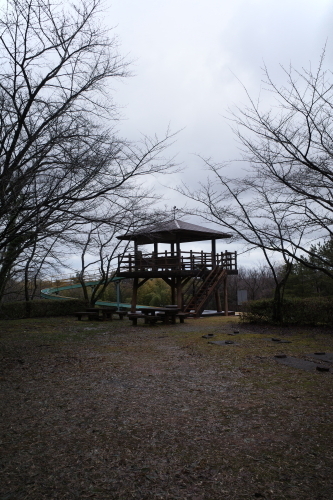 R0033349.JPG