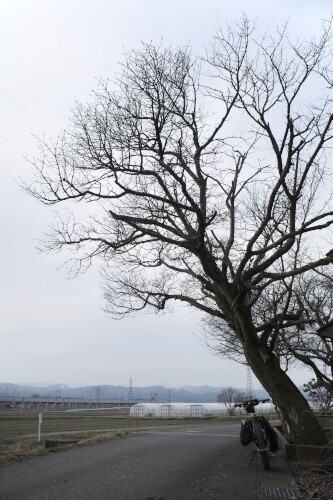 R0033485.JPG