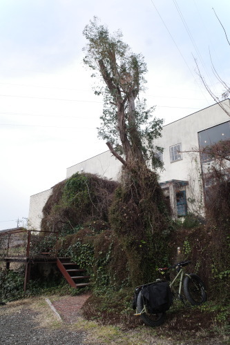 R0033487.JPG