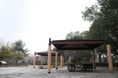 R0033501.JPG