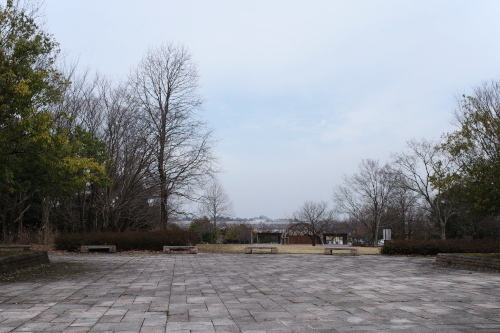 R0033542.JPG
