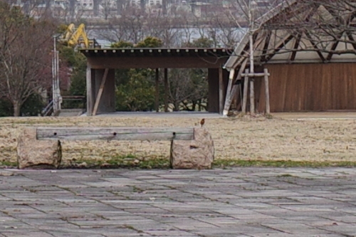 R0033562.JPG