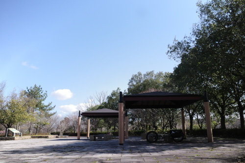 R0033676.JPG