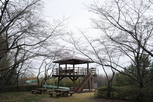 R0033765.JPG
