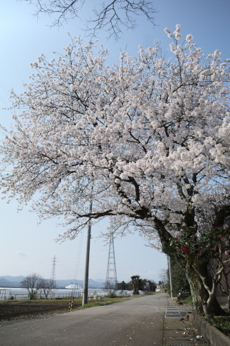 R0033926.JPG